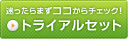 �ȥ饤���륻�å�
