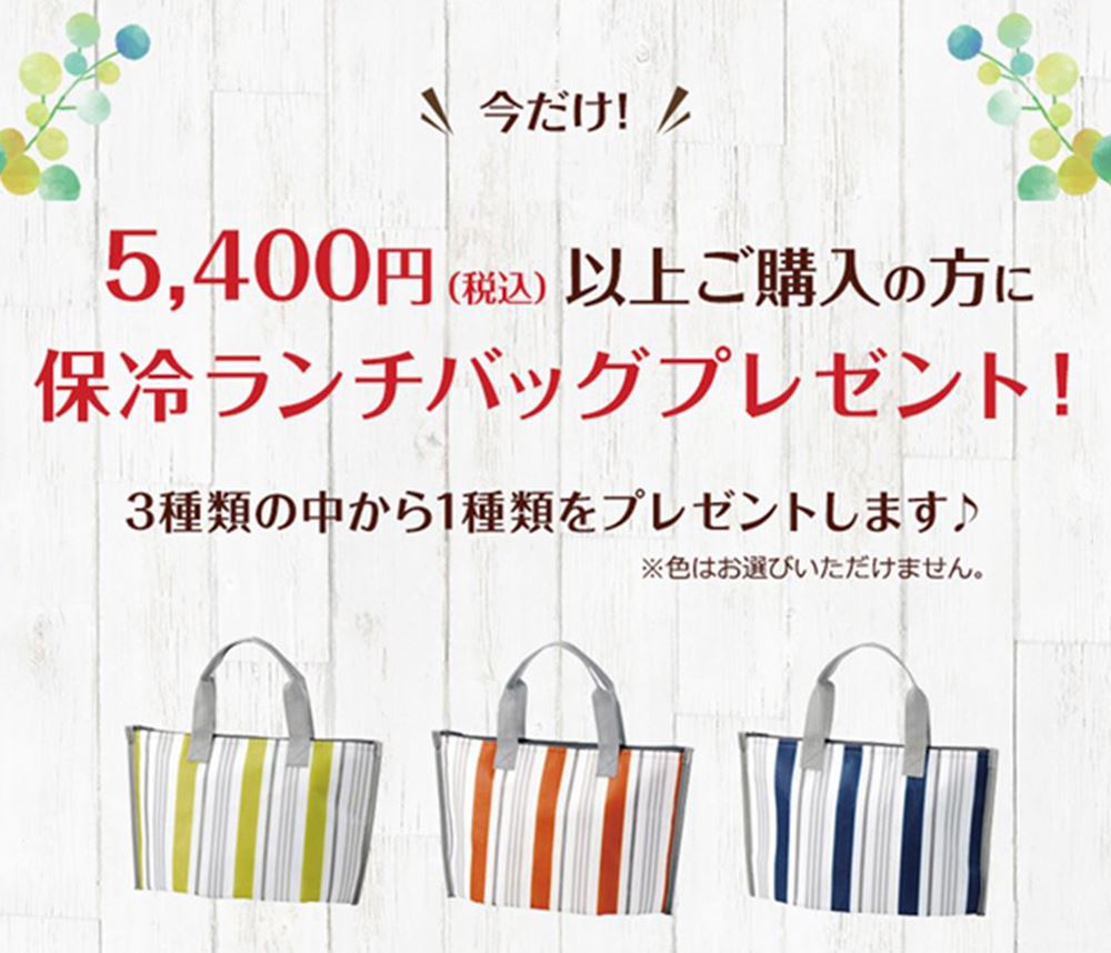 プレゼントキャンペーンバッグ3